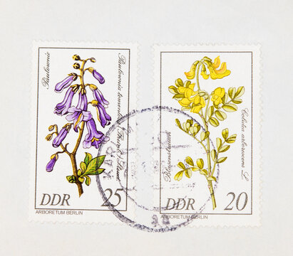briefmarke stamp vintage retro alt old gestempelt used frankiert cancel blume flower arboretum berlin blauglockenbaum paulownia lila purple gelb blasenstrauch yellow Blüte