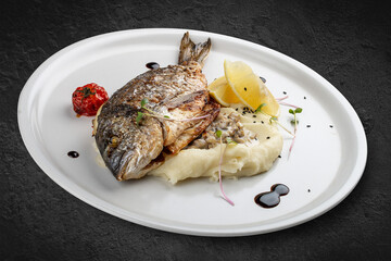 Dorado with mashed potatoes and creamy mushroom sauce. Isolated on a black background.