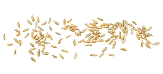 Raw rye grains isolated on a white background, top view.