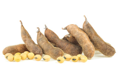 Pile of soybean pods and beans isolated on a white background. Soya - protein plant for health food.