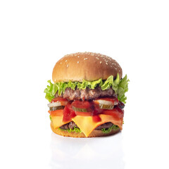 Fresh tasty burger isolated on white background