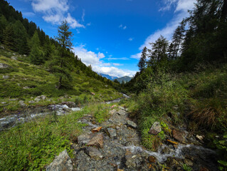 Fototapeta na wymiar hiking in the Alps