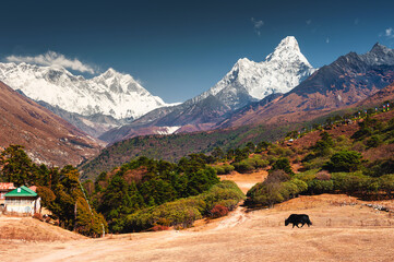 Blick auf die Berge Everest, Lhotse und Ama Dablam vom Dorf Tengboche, Nepal. Wanderung zum Everest-Basislager. Herbstliche Landschaft