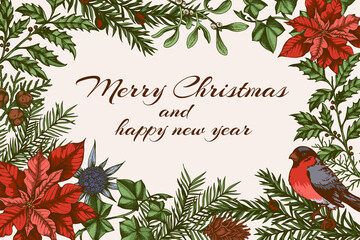 Christmas greeting card with evergreen plants and bullfinch bird