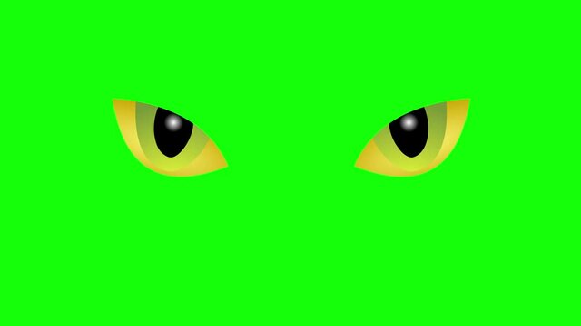 Mystic cat eyes blinking. For Halloween  and cat websites. Black and green background.