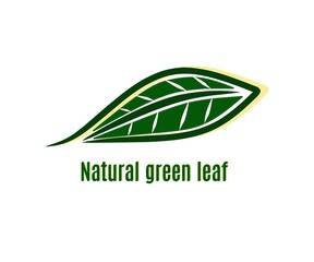 Green leaf logo. Green leaf icon. creative line design. Vector design illustration.