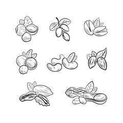 set of outline black and white nut drawings, illustration templates, icons isolated. - obrazy, fototapety, plakaty