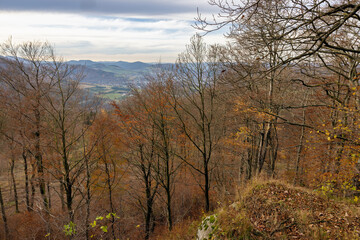 Aerial view from Hill with autumn woodscape in German Sauerland