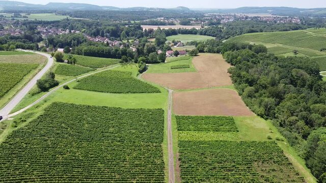 Aerial view on green French vineyards in Burgundy wine region in summer, white and red wine production in France