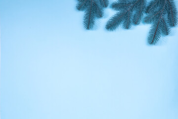 Branches of a Christmas tree on a blue background. The basis for the postcard.