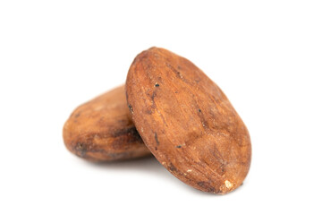 Whole cocoa nut - chocolate snack (Theobroma cacao)