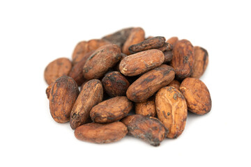 Whole cocoa nut - chocolate snack (Theobroma cacao)