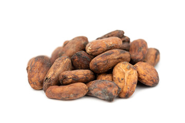 Whole cocoa nut - chocolate snack (Theobroma cacao)