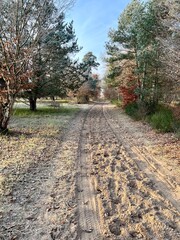 Naklejka premium Fontainebleau 30