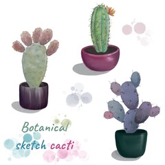 A set of cacti. Watercolor illustration