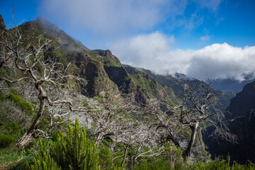 landscape in the mountains