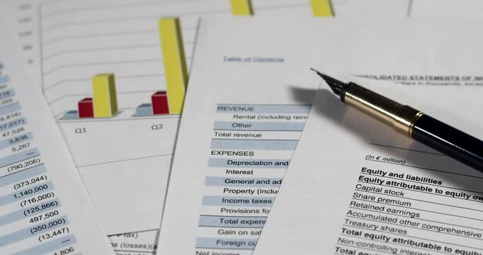 Financial analysis - income statement, business plan and balance the investment portfolio
