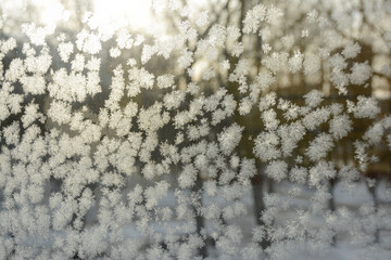Frosty pattern on the window glass in the rays of the sun. Selective focus. Winter background.