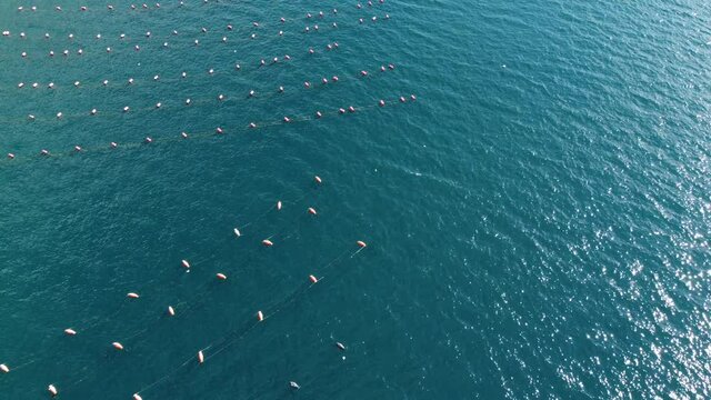 Oyster farm in Montenegro. Fresh high quality seafood is the main industry here. Adriatic sea - Aerial view with a drone. 4K.