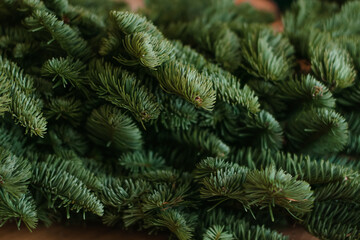 Fototapeta na wymiar Fir branches in close-up.Natural background.New Year and Christmas concept.Selective focus.