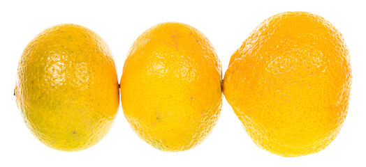 Fresh mandarins isolated on white background