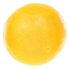 Grapefruit isolated on white background