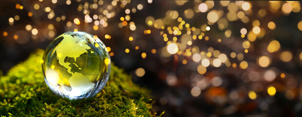 Fototapeta 2022 new year. Green glass earth globe ball with continent america, canada and green moos in forest and golden lights - sustainable, ecology environment background. obraz