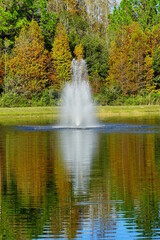 A pond in a community of Florida	