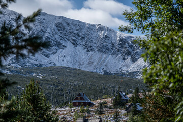 incredibly beautiful peaks of snow-capped mountains, incredible wildlife