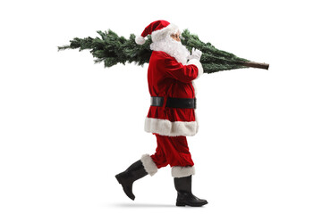 Full length profile shot of Santa Claus walking with a christmas tree on his back