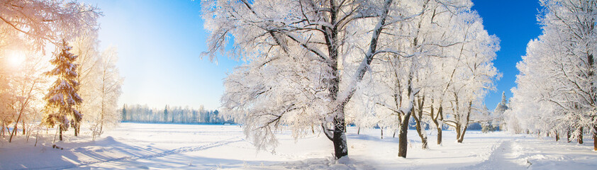 Panorama of beautiful winter park