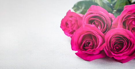 bunch of pink roses and with copy space onl ight  bokeh background