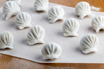 Dumplings background. Cooking dumplings in the kitchen.