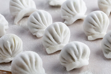 Dumplings background. Cooking dumplings in the kitchen.