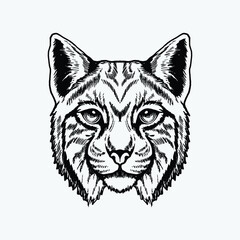 Cat head drawing