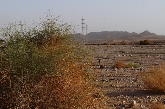 Sand storm in the desert near Eilat