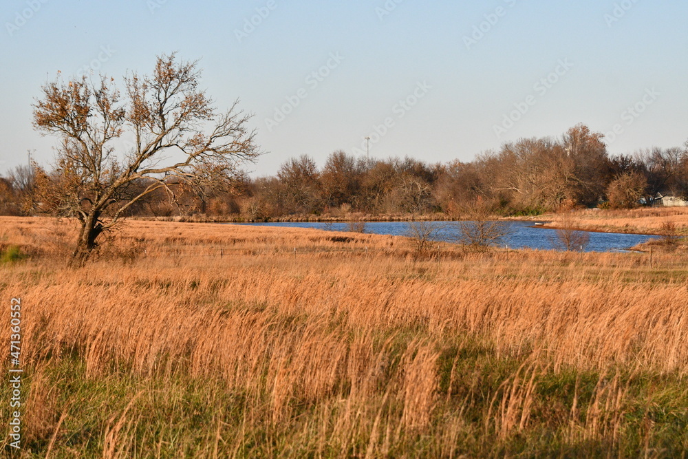 Sticker Lake in a Field