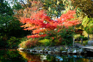 Colorful shore of the lake, river. Beautiful autumn landscape