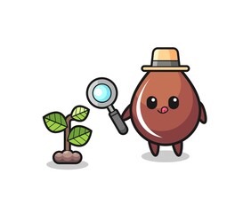 cute chocolate drop herbalist researching a plants