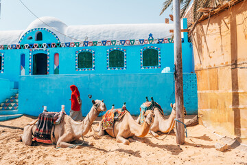 colorful nubian village in aswan, egypt