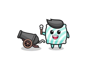 cute pillow shoot using cannon