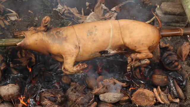 Cooking Whole Pig On A Spit