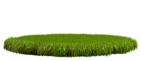 Round piece of green lawn. Green Lawn isolated on a white background. Grass texture, 3d render.