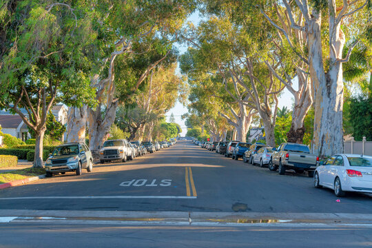 Street pavement at Coronado, San Diego, California