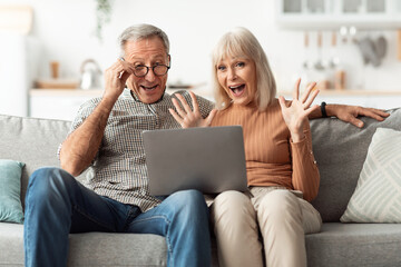 Joyful Senior Couple Using Laptop Reading News Online At Home