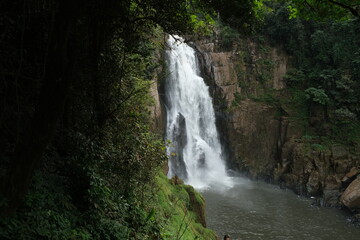 Obraz premium Taken at Khao Yai National Park, Thailand on vacation. nature tour