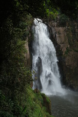 Fototapeta premium Taken at Khao Yai National Park, Thailand on vacation. nature tour