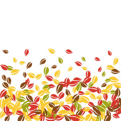 Falling autumn leaves. Red, yellow, green, brown c