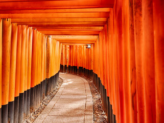 Fototapeta premium Torii Pathway At the Fushimi-Inari Shrine