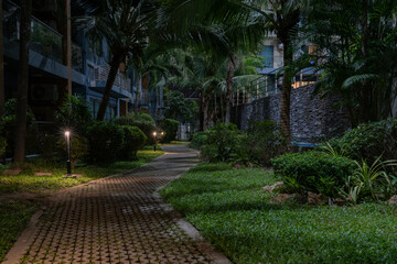 A winding path among the palm trees at night.